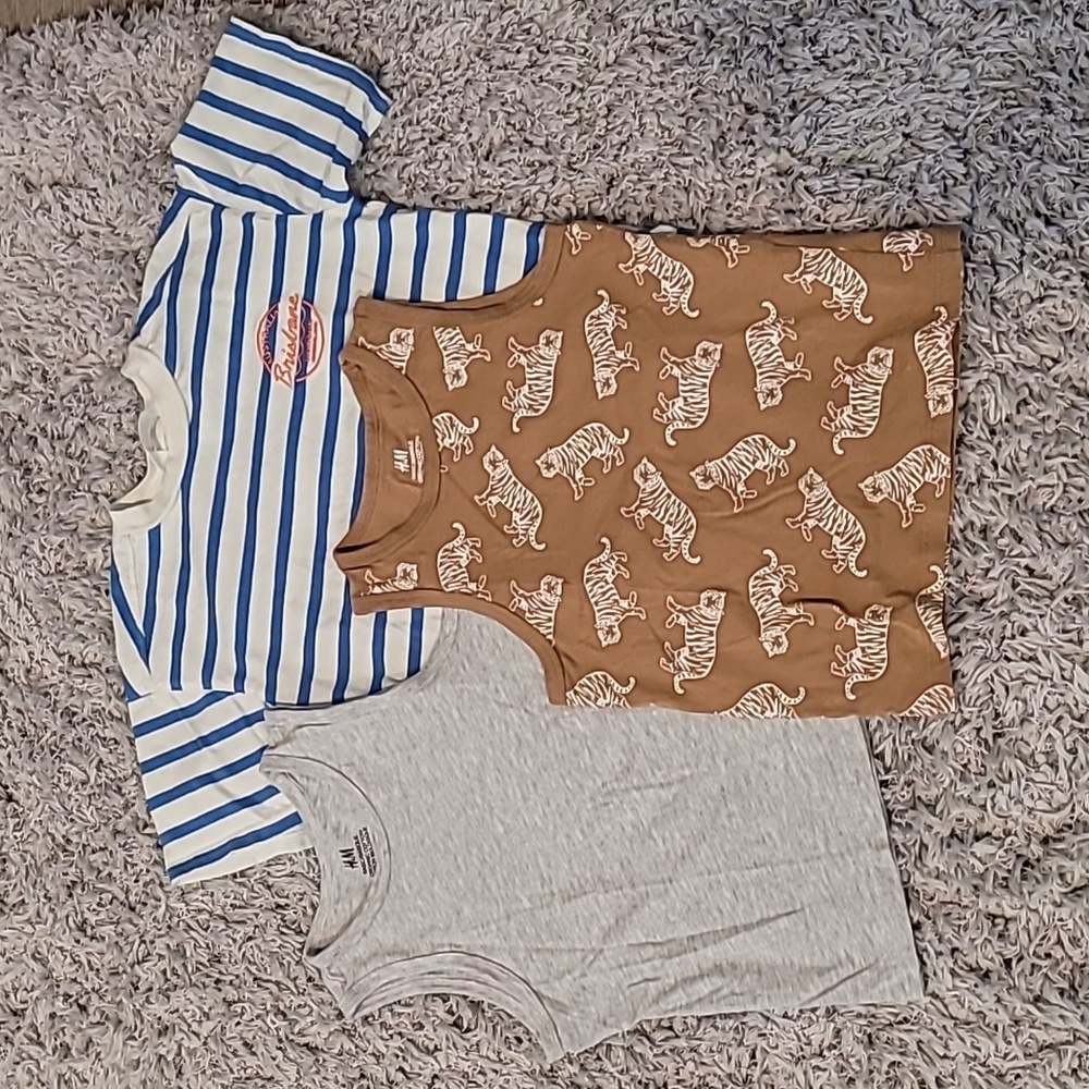 Lot of 3 Boy Shirts